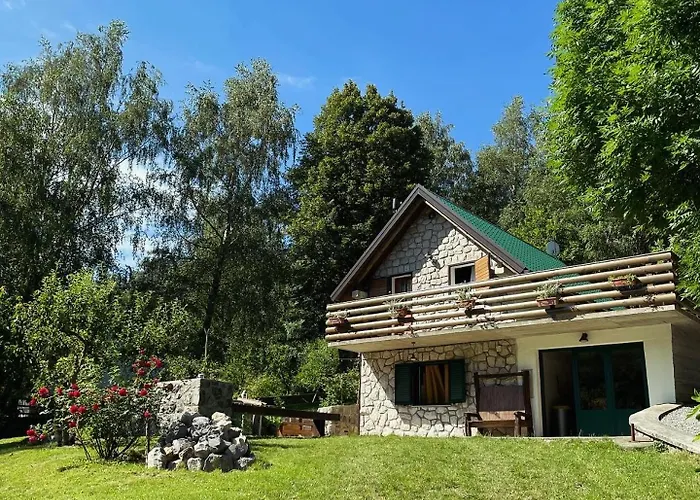 Sanmari_forest シャレー